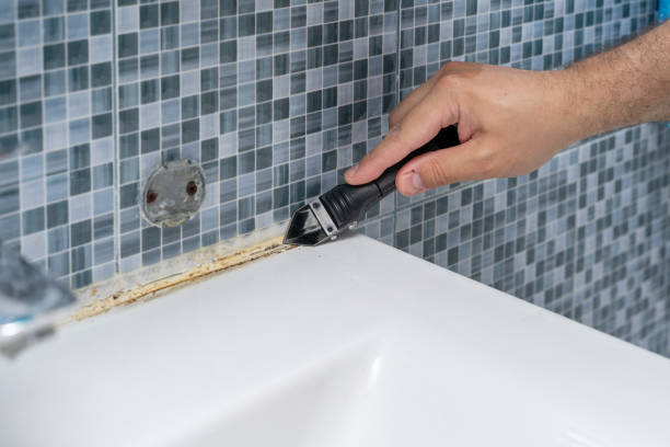 Best Mold Damage Repair  in Citrus Heights, CA